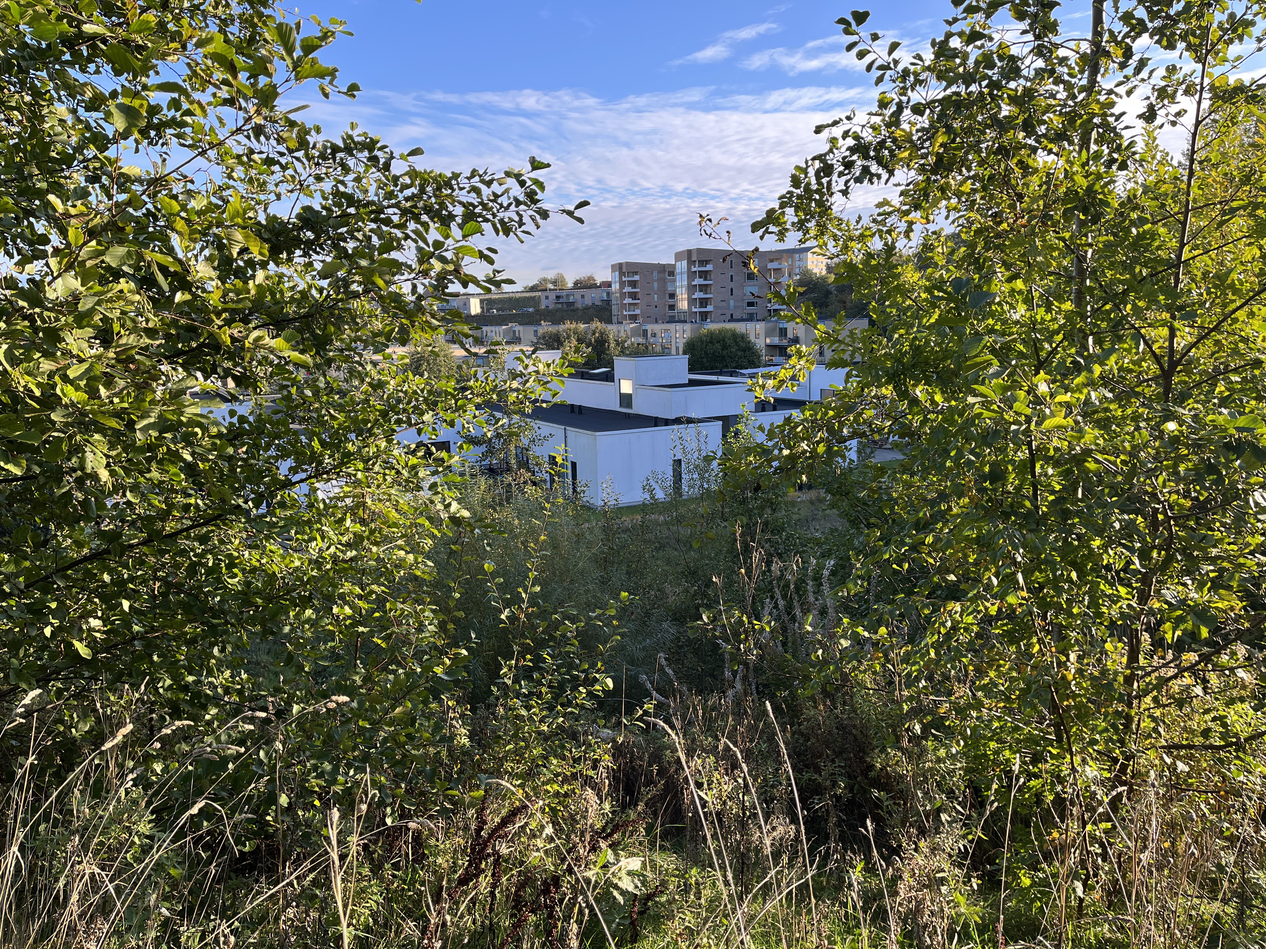 Botilbud  Kridtsløjfen set fra en bakketop