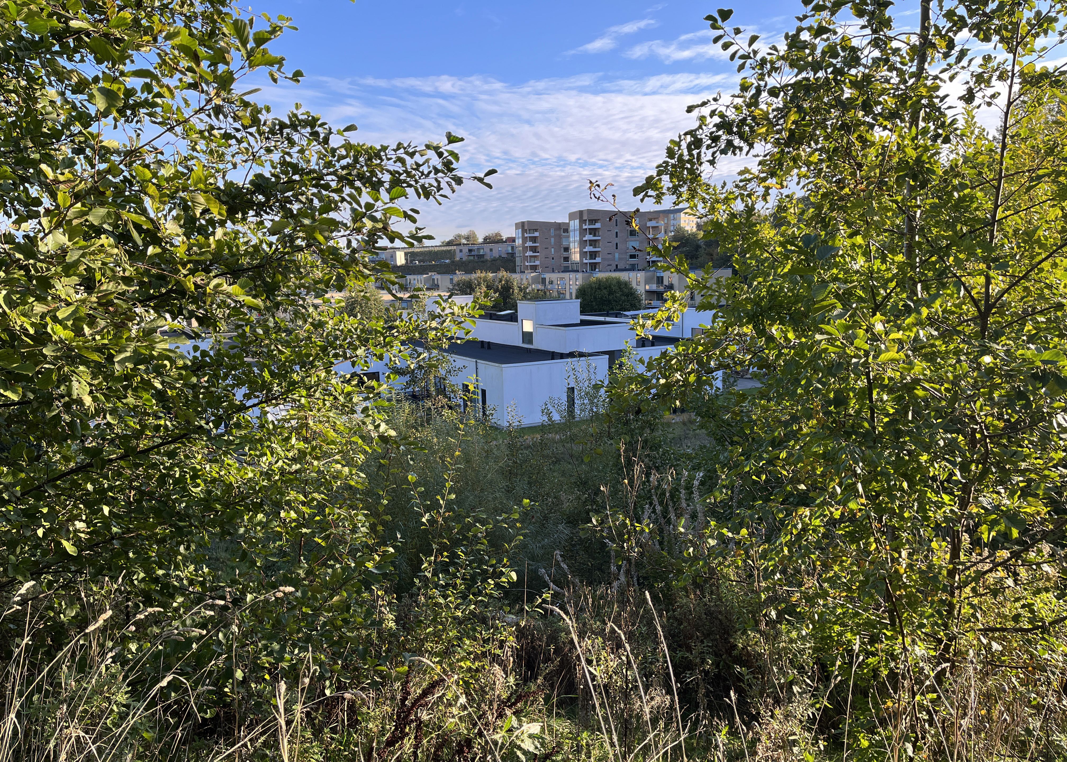 Botilbud Kridtsløjfen set fra en bakketop