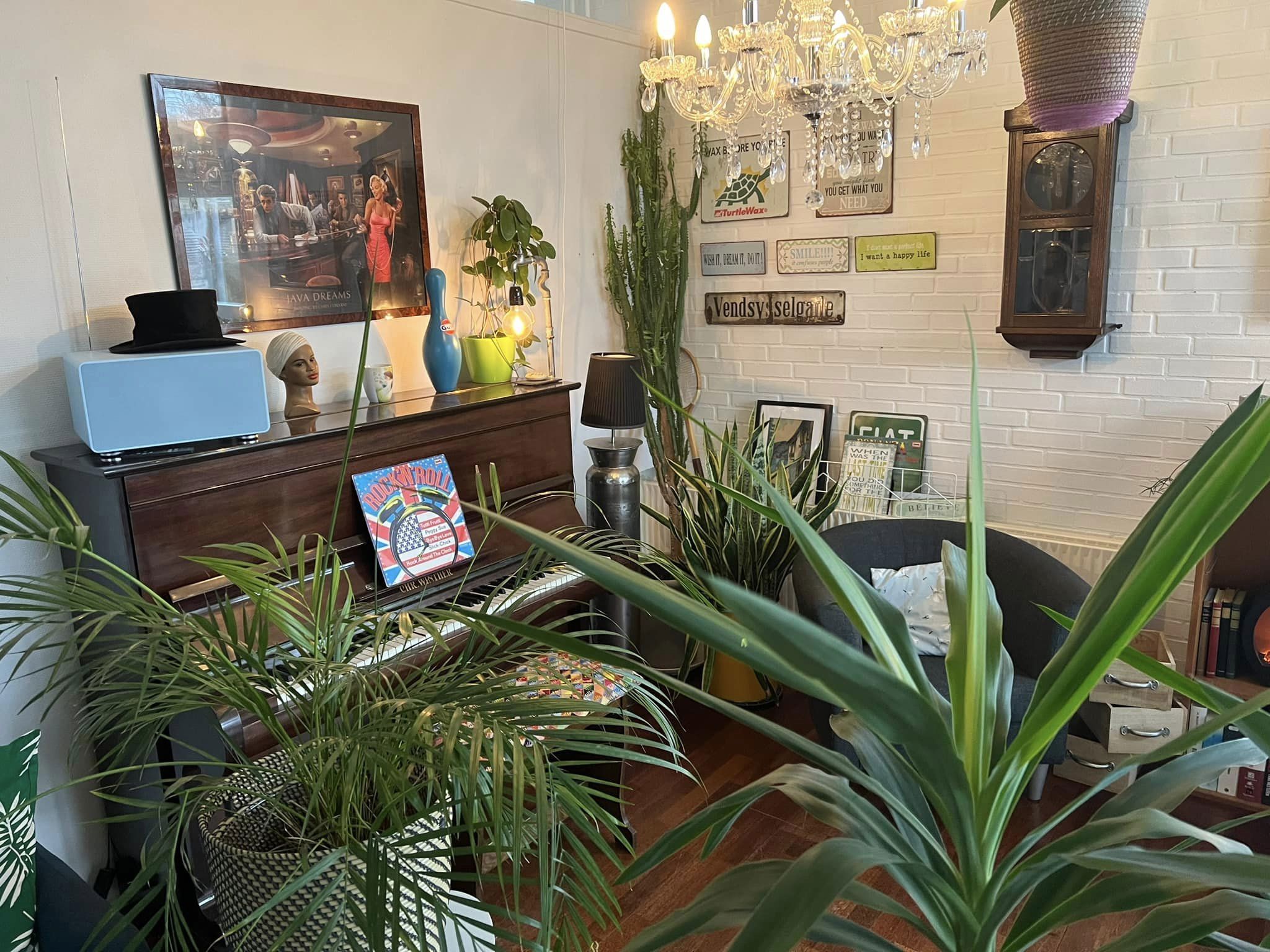 Stue med et brunt klaver og mange grønne planter