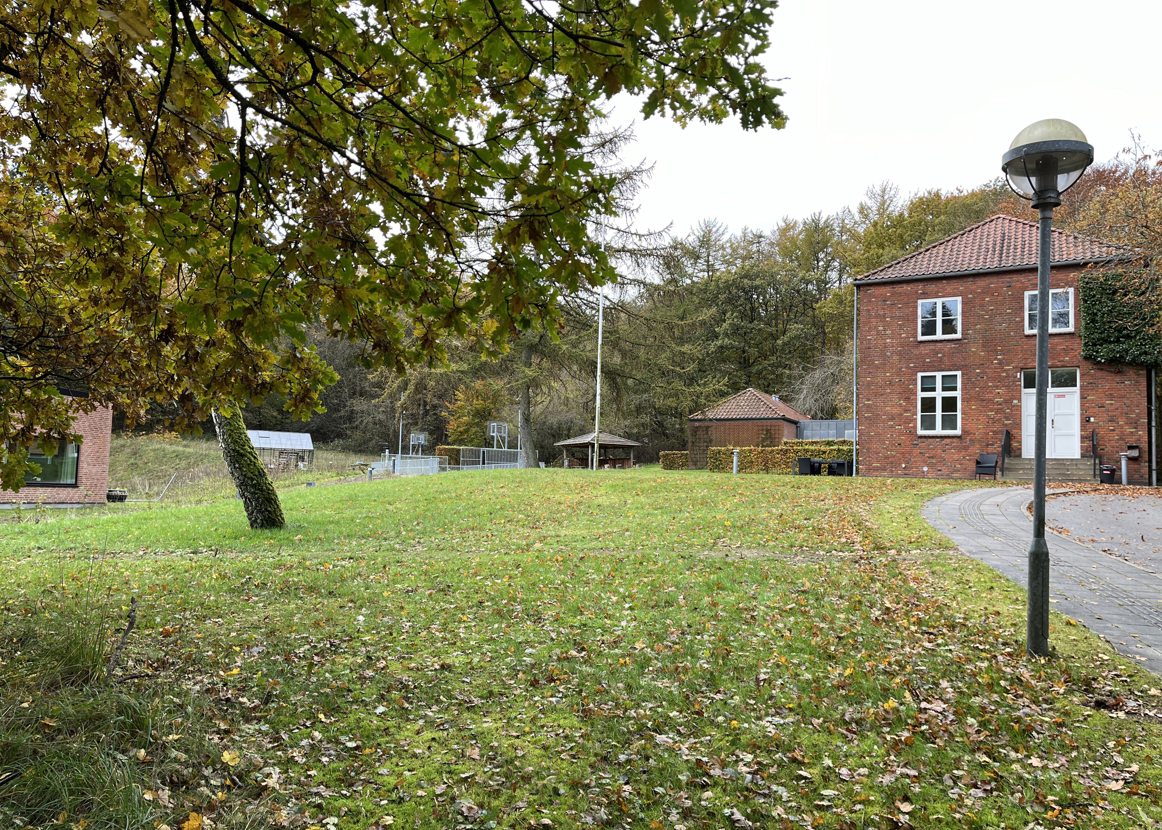 Brinken i Hammer Bakker