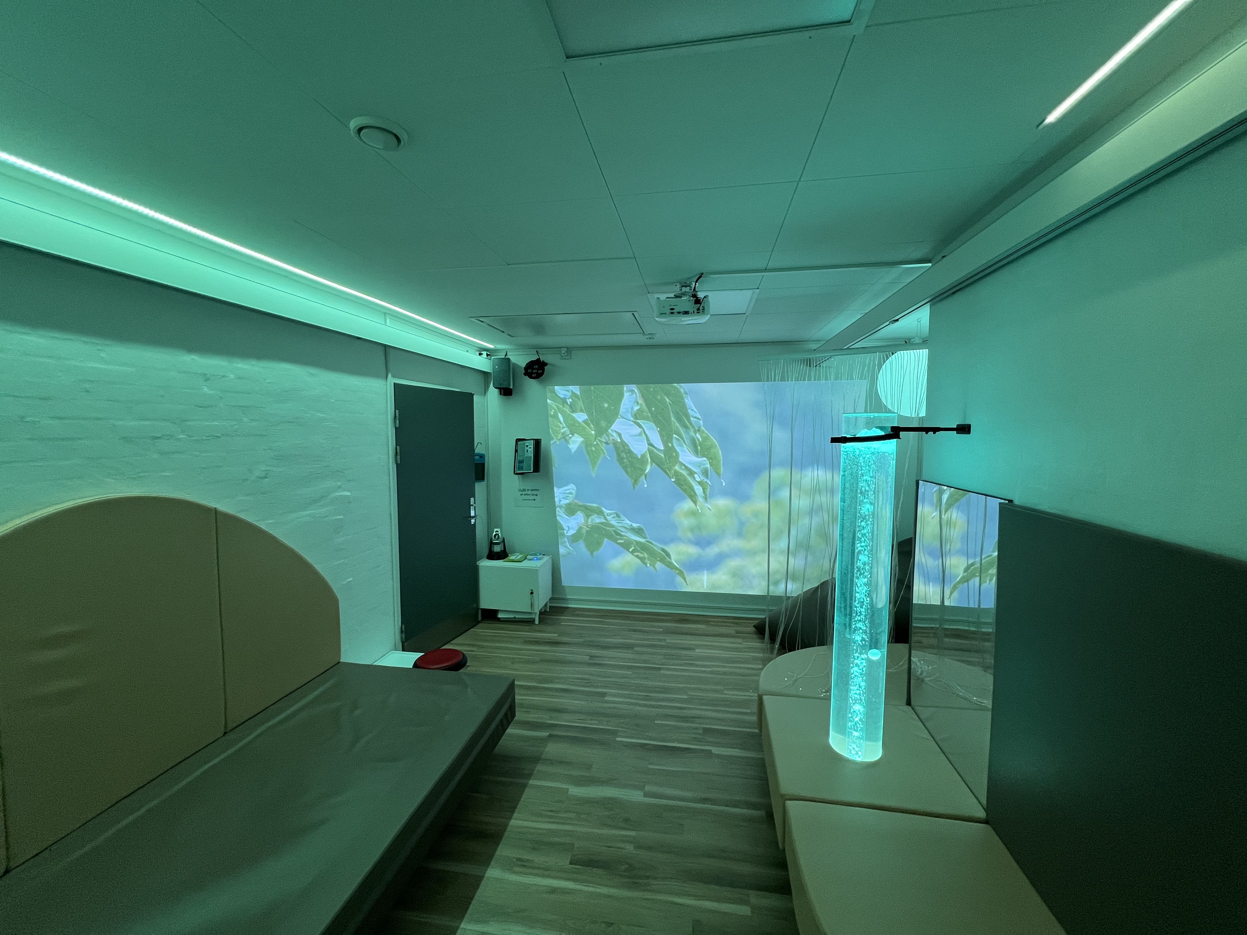 Danahus - sanserum i grønt