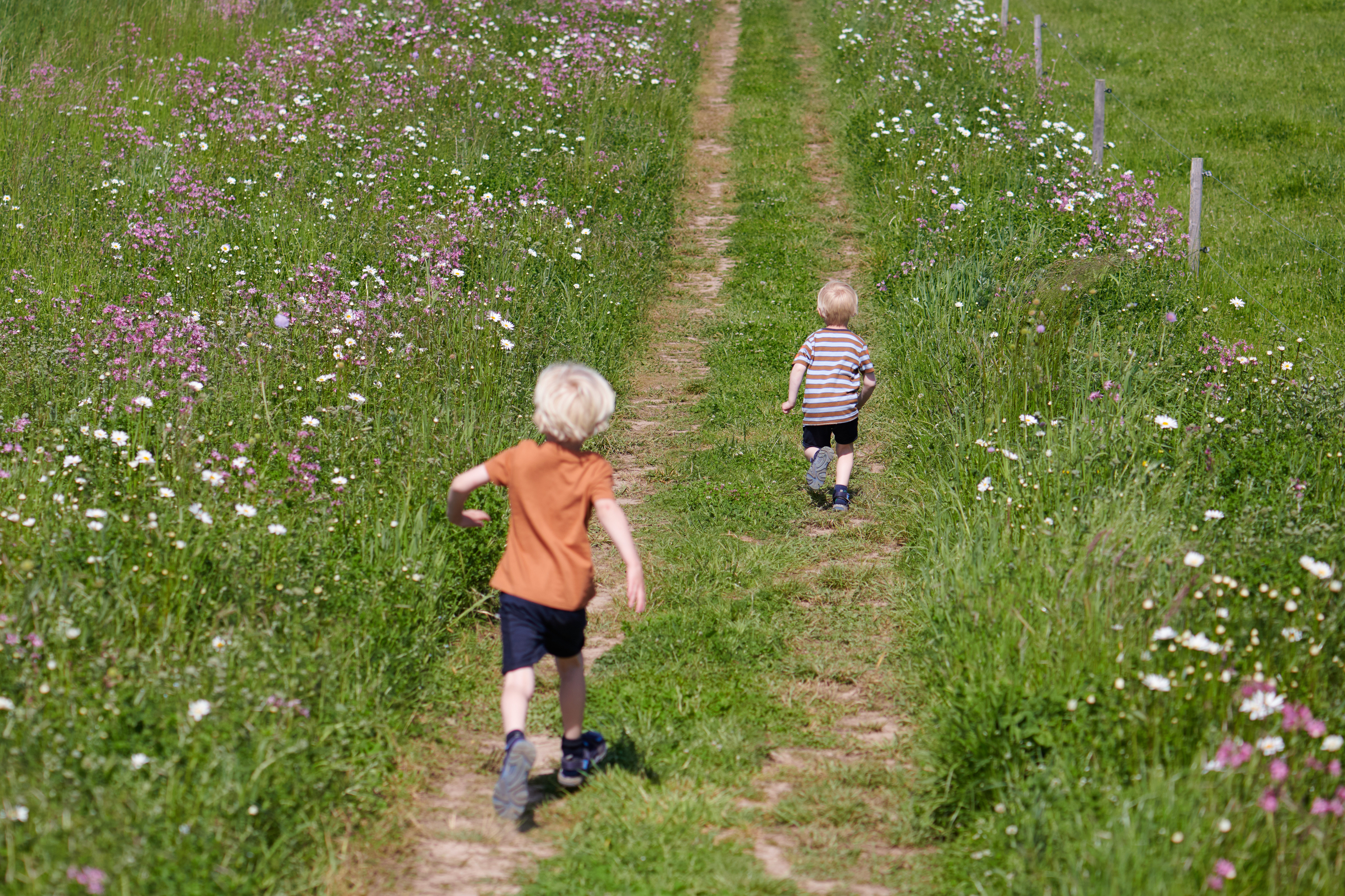 Børn der løber på en mark