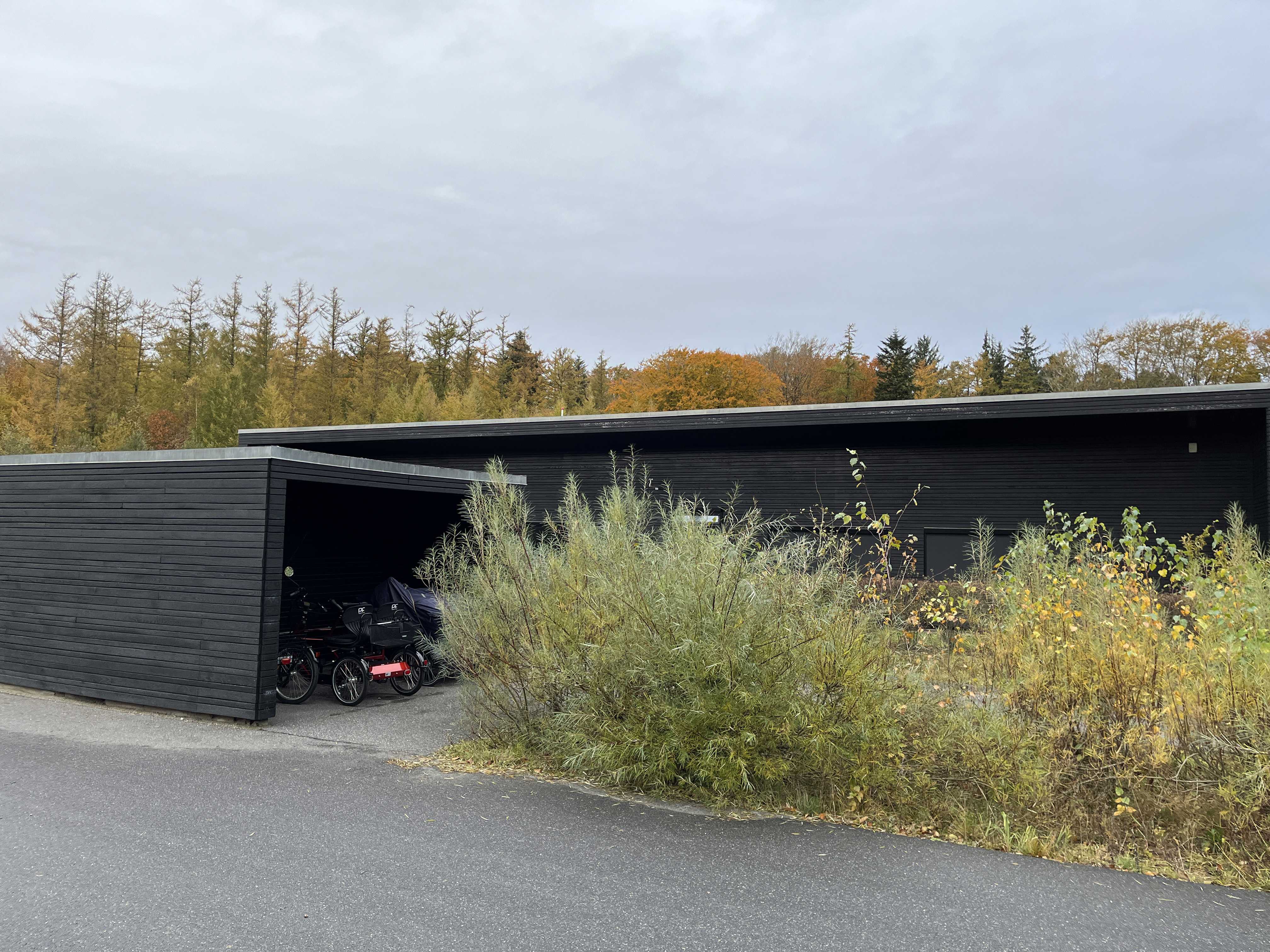 Gennem Bakkerne bag busk