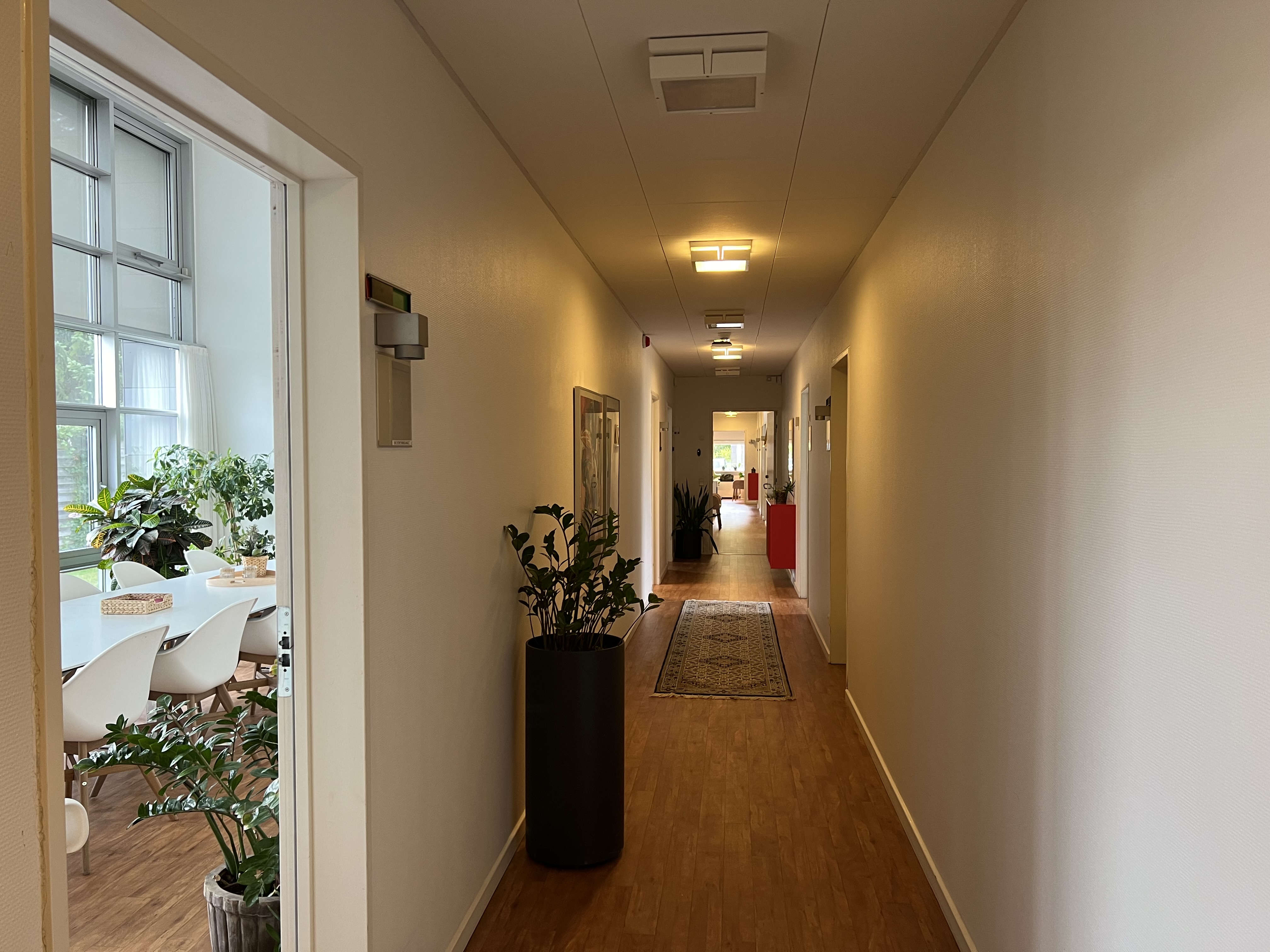 Familiehuset Bisgård Gang med gulvtæppe og grønne planter