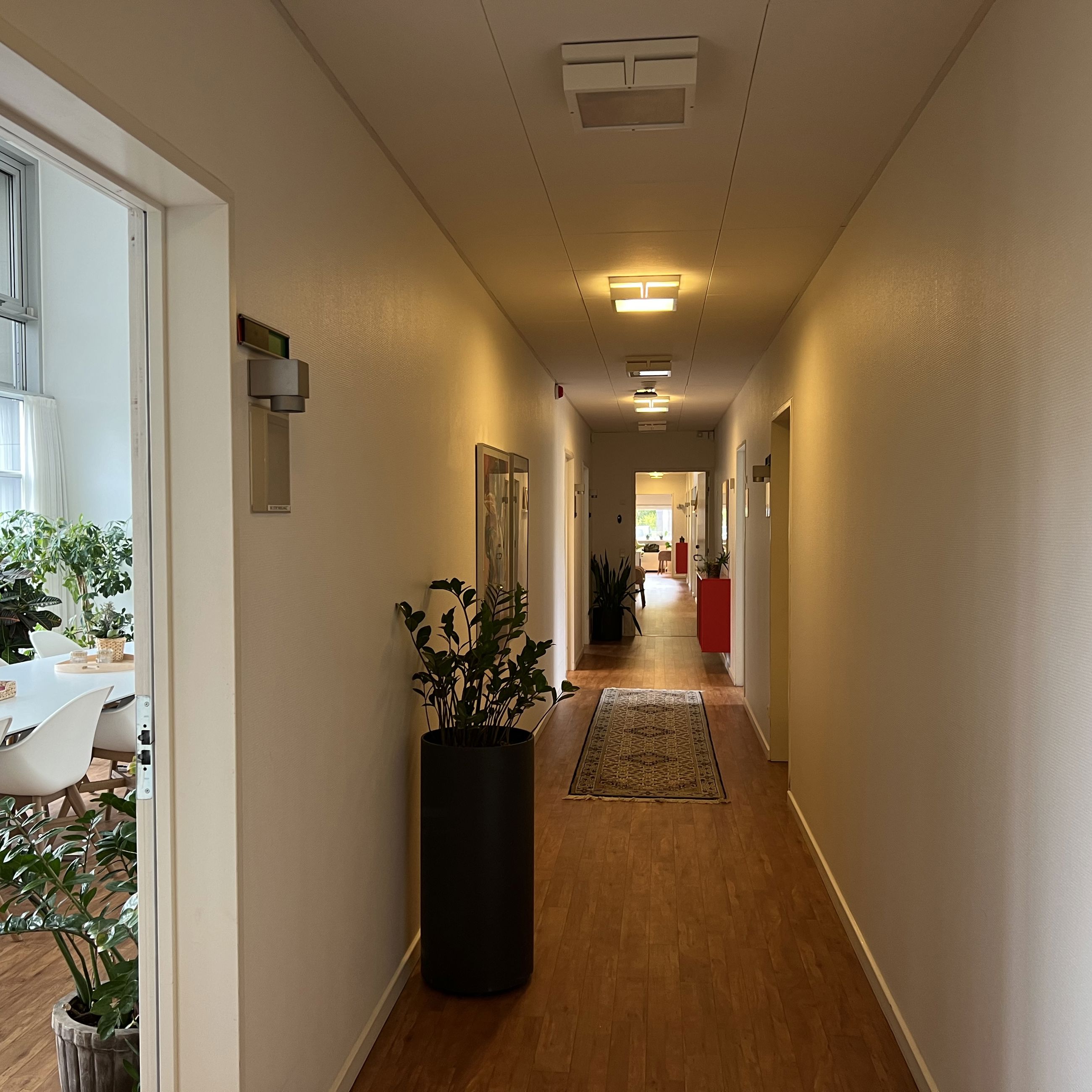 Familiehuset Bisgård Gang med gulvtæppe og grønne planter