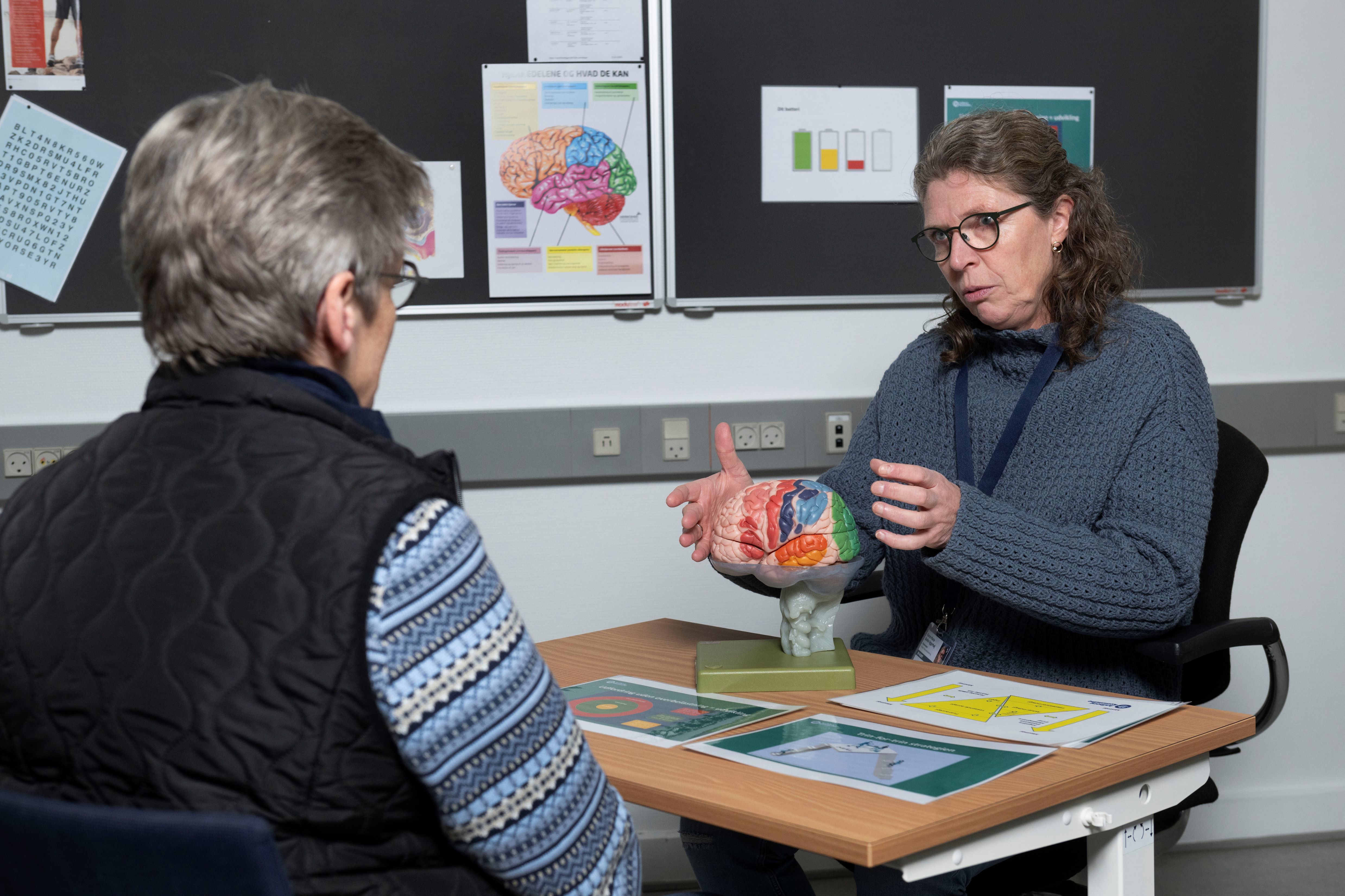 Forklaring af hjernen