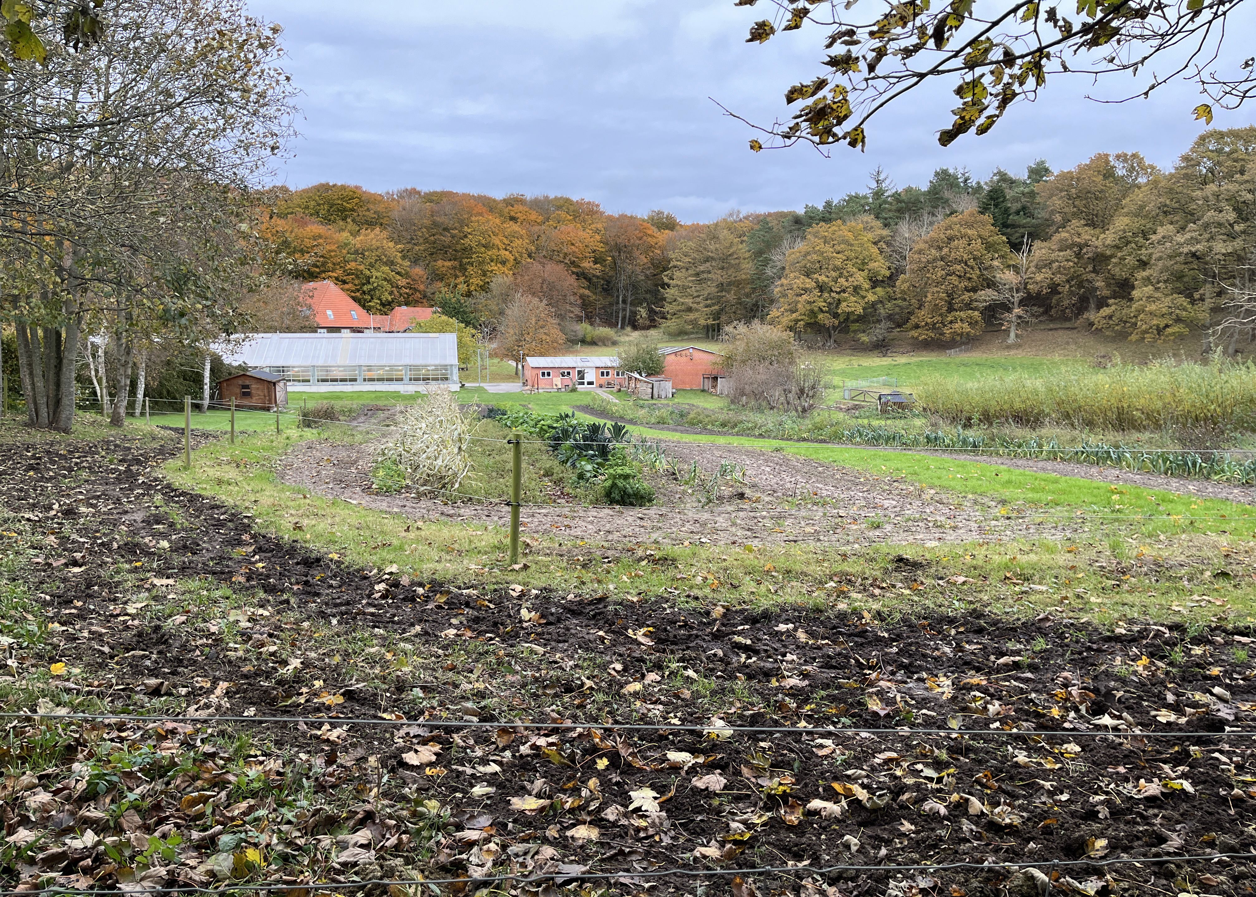Gartneriet og omkringliggende natur
