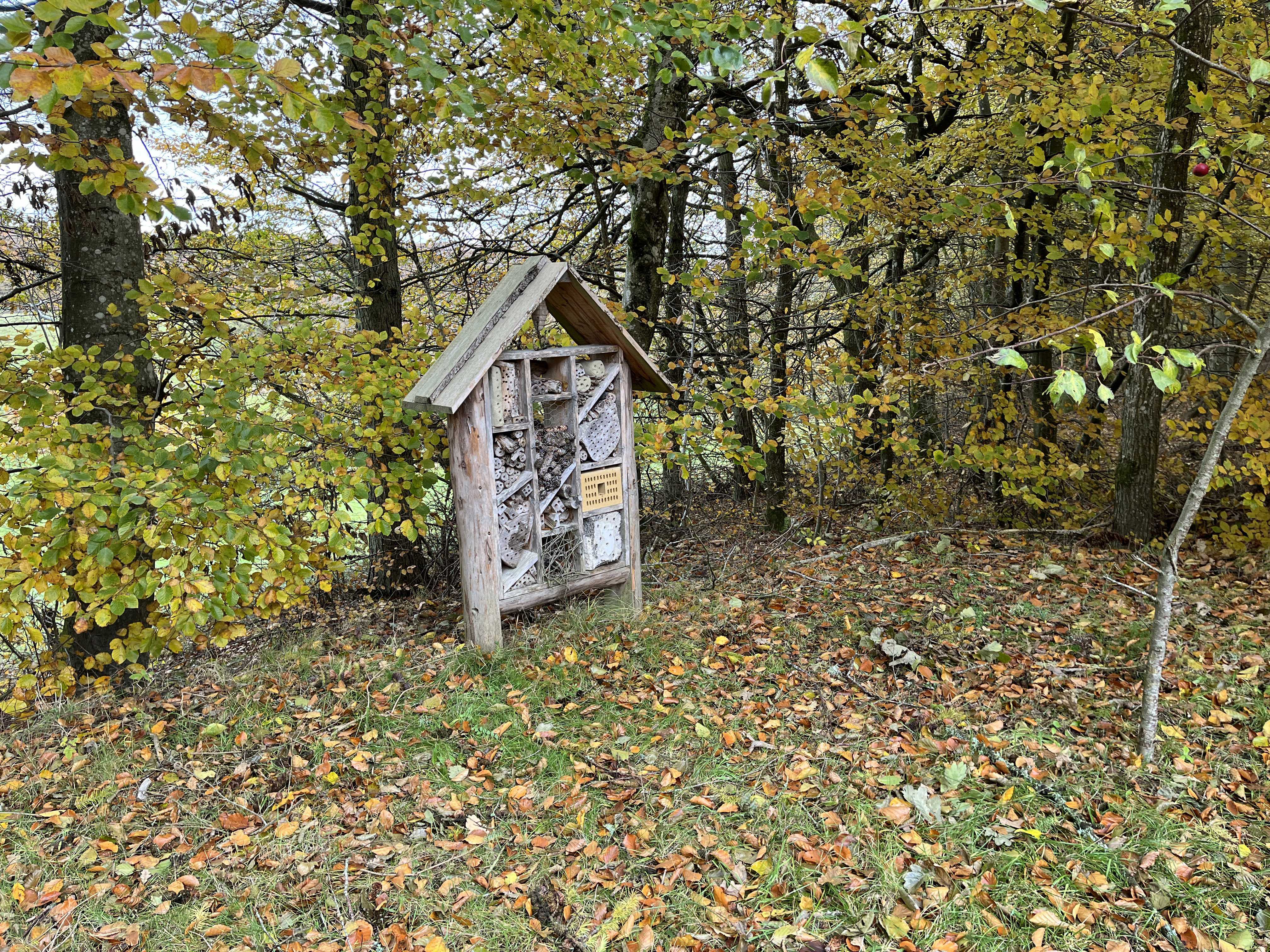 Insekthotel i naturen