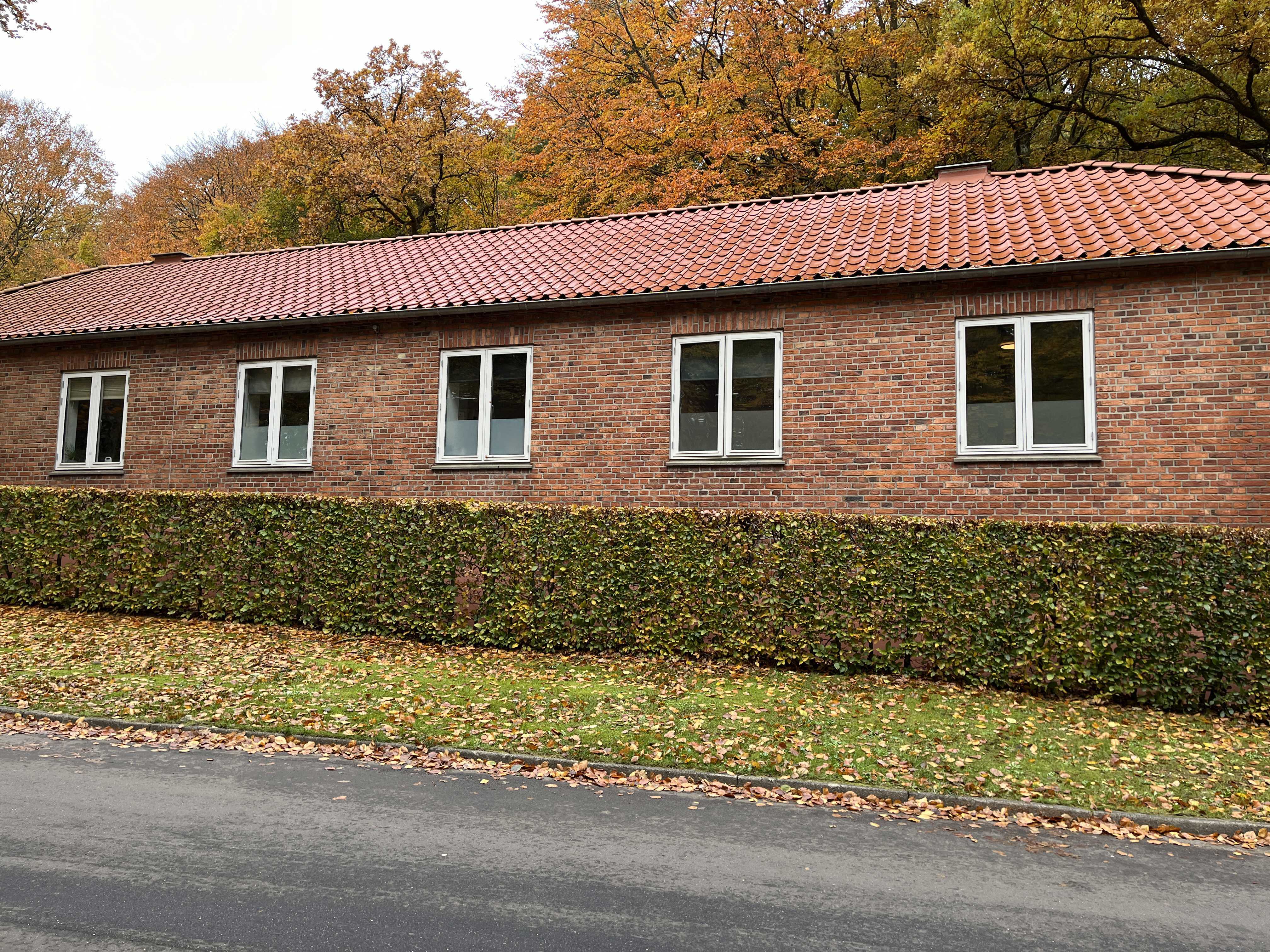 Bodil Hjorts vej VoksenBøgen