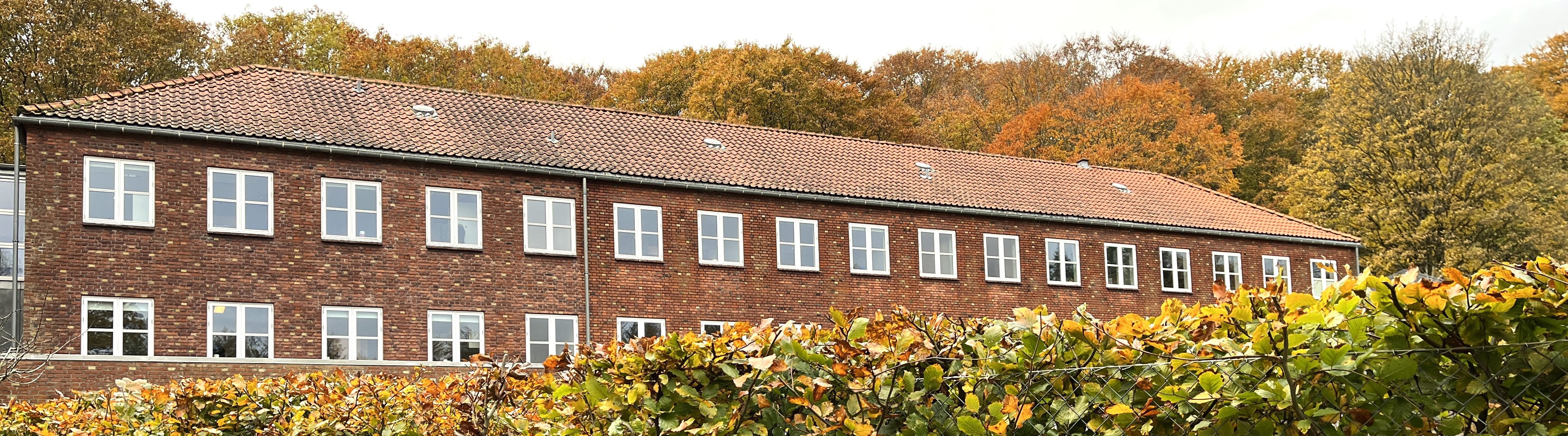 Væksthuset facade med buske i forgrunden